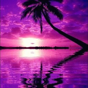 Meet your Posher, Jada